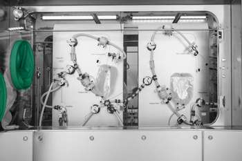 星德科助您正确实施PUPSIT ，满足欧盟附录1要求